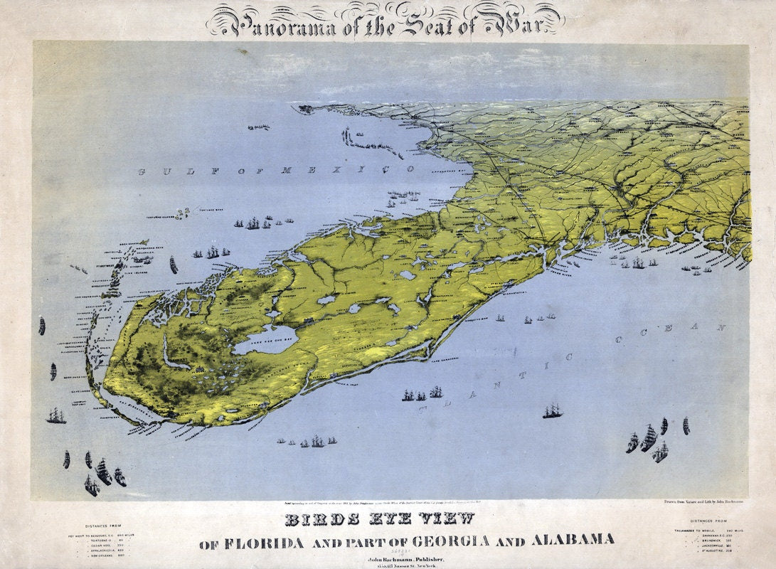 1861 Panoramic Map of Florida by John Bachmann