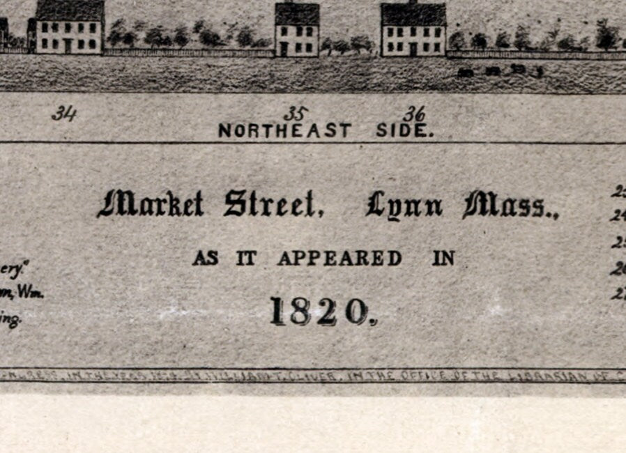 1820 Panoramic Map of Lynn Massachusetts