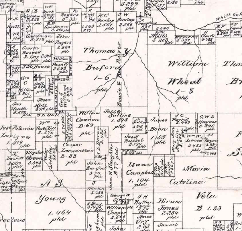 1880 Farm Line Map of Morris County Texas
