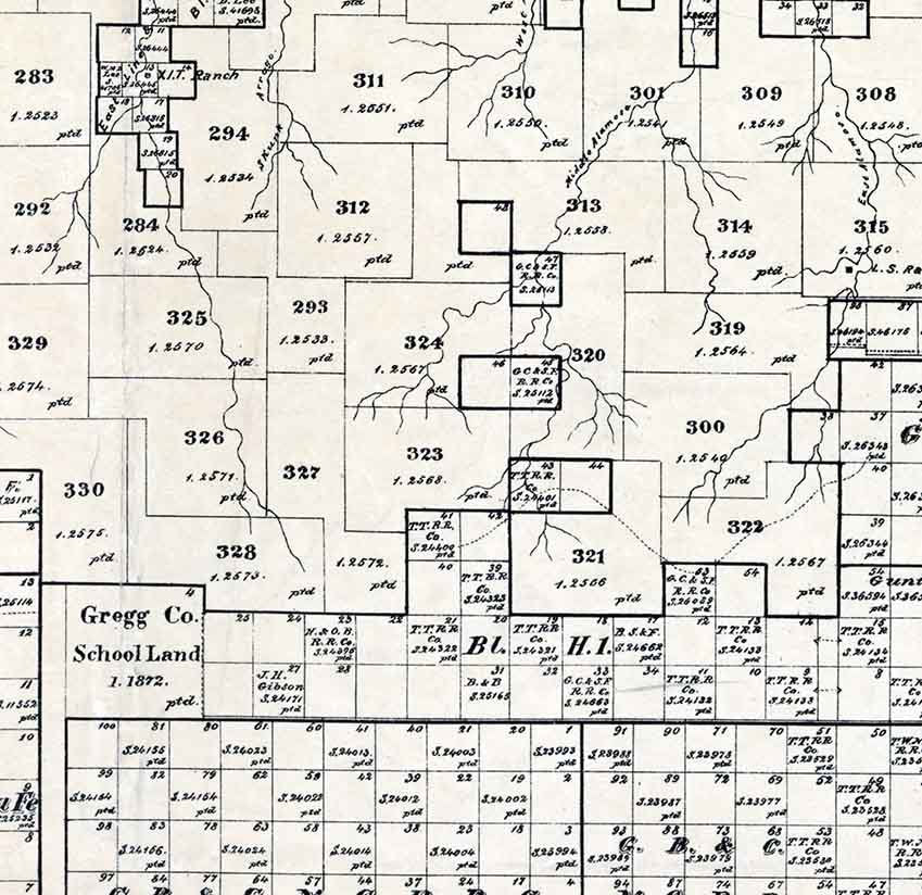 1888 Farm Line Map of Oldham County Texas