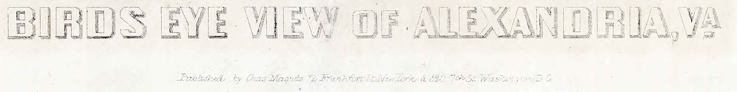 1863 Panoramic Map of Alexandria Virginia