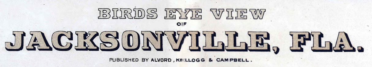 1876 Panoramic Map of Jacksonville Florida