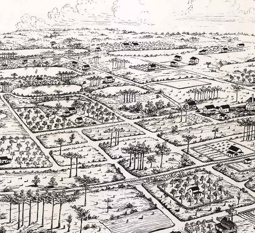 1885 Panoramic Map of Longwood Orange County Florida