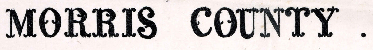 1880 Farm Line Map of Morris County Texas