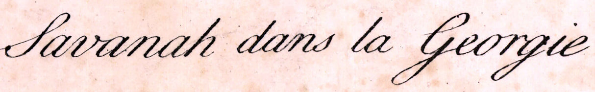 1734 Panoramic Map of Savannah Georgia