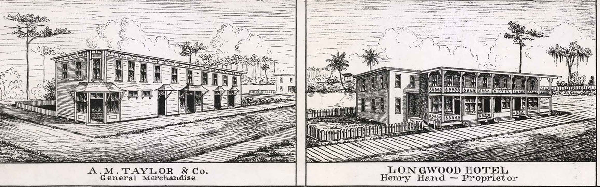 1885 Panoramic Map of Longwood Orange County Florida