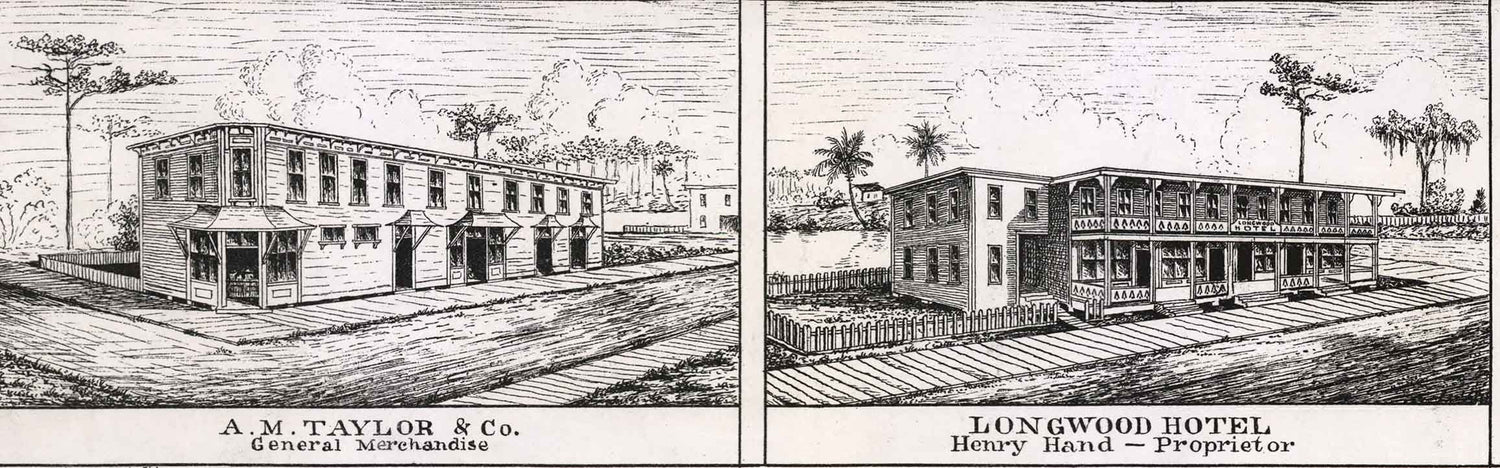 1885 Panoramic Map of Longwood Orange County Florida