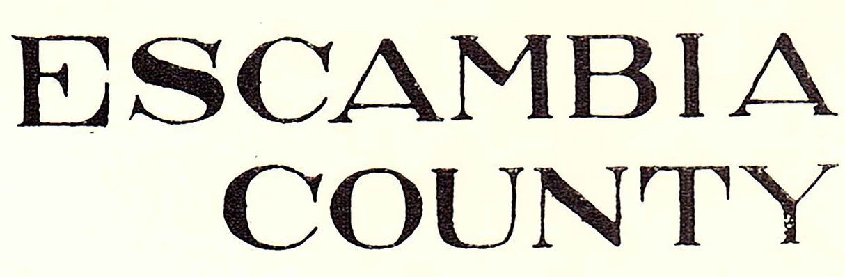 1914 Map of Escambia County Florida Pensacola Gulf of Mexico