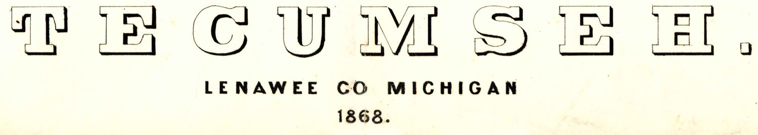 1868 Panoramic Map of Tecumseh Lenawee County Michigan