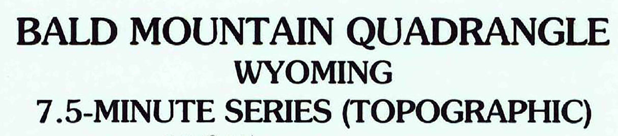 1993 Topo Map of Bald Mountain Wyoming WY Bighorn Forest
