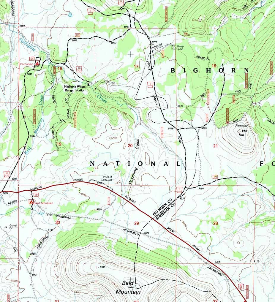 1993 Topo Map of Bald Mountain Wyoming WY Bighorn Forest