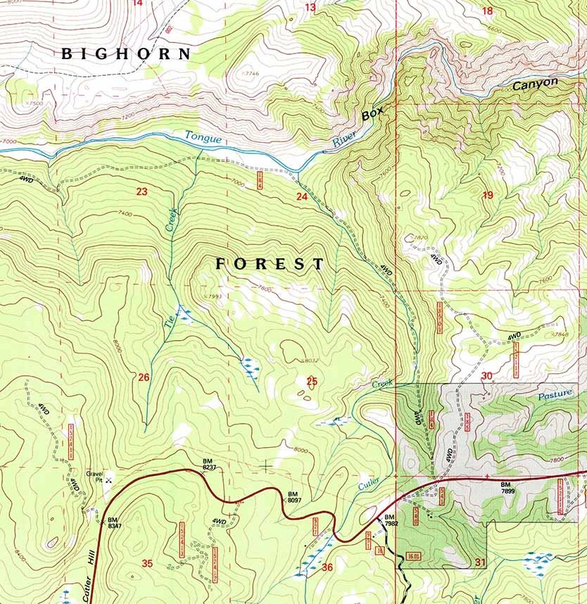 1993 Topo Map of Skull Ridge Wyoming WY Bighorn Forest
