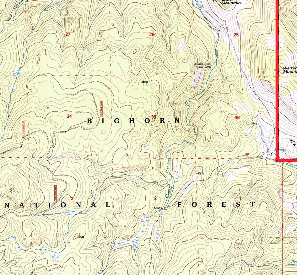1993 Topo Map of Walker Mountain Wyoming WY Bighorn Forest