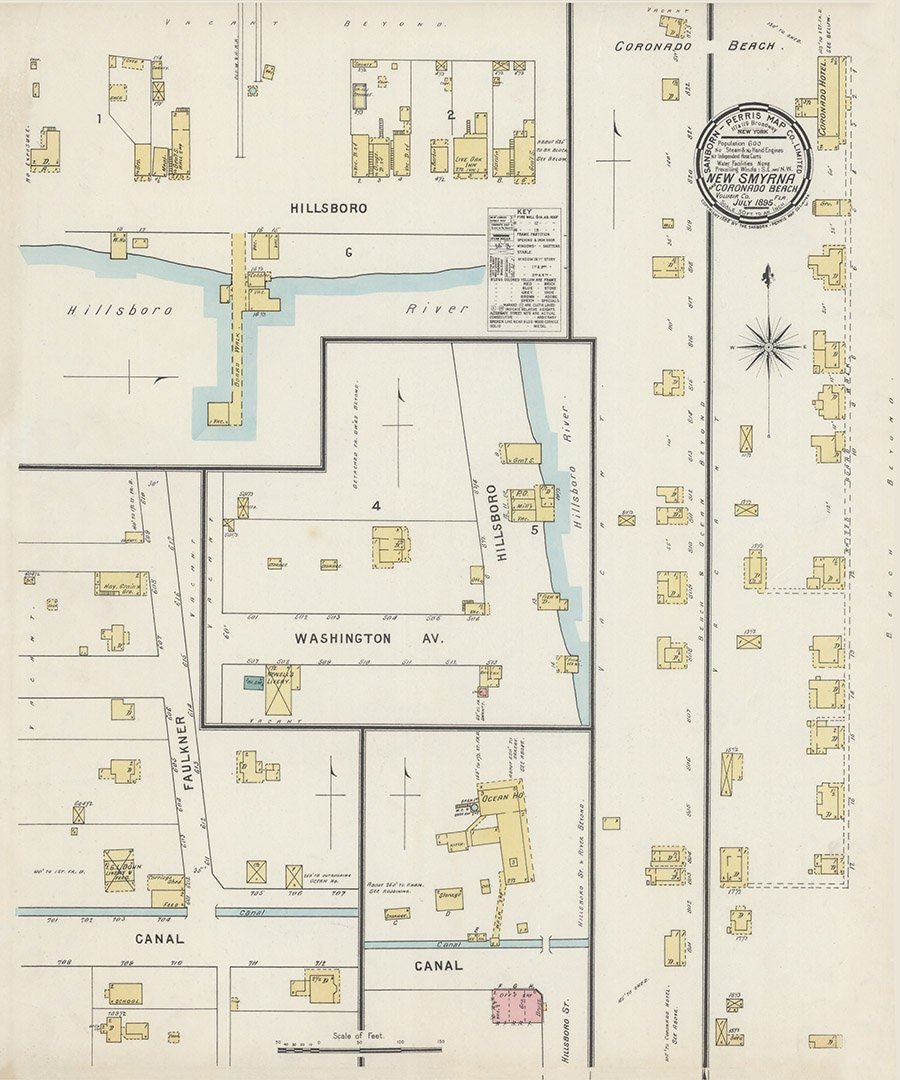 1895 Town Map of New Smyrna Valusia County Florida