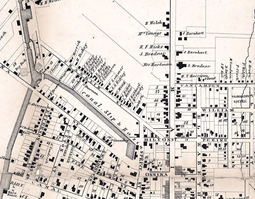 1858 Town Map of Dansville Livingston County New York