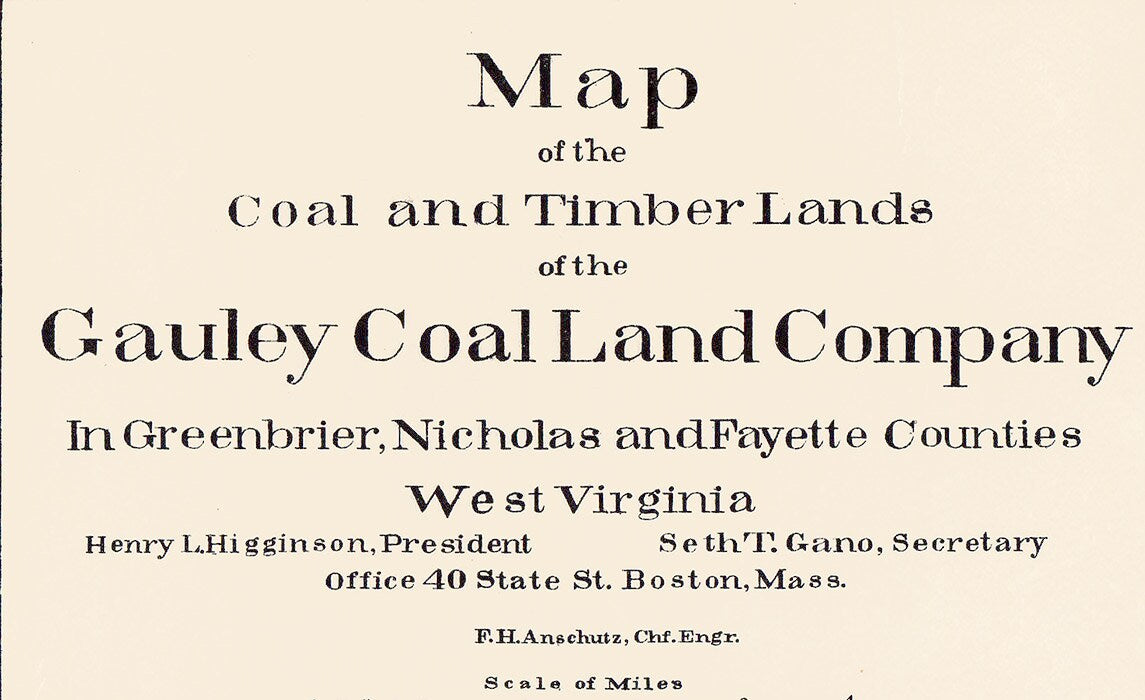 Early 1900s Map of Gauley Coal Land Company Mining Timber West Virginia Fayette Nicholas Greenbrier County