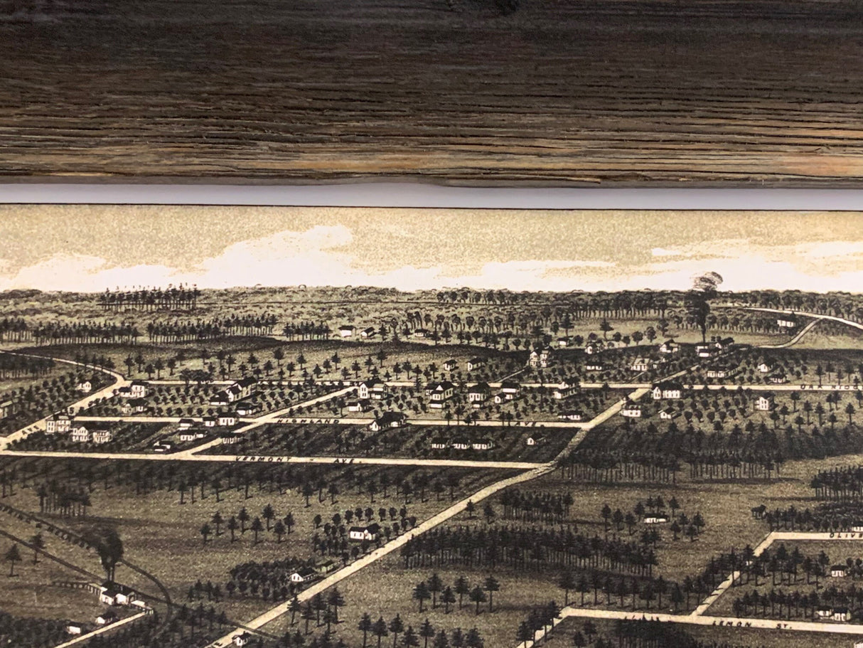 1885 Panoramic Map of Green Cove Springs Clay County Florida Framed