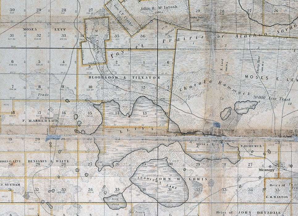 1846 Map of Gainesville Florida Previously the Arredondo Grant