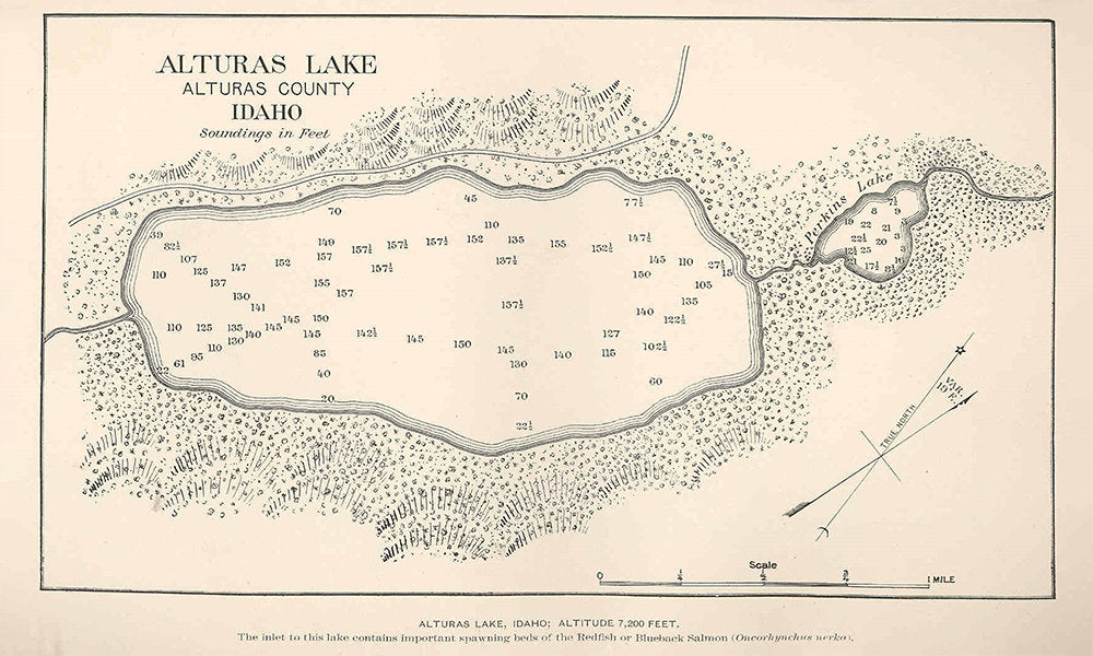 1897 Map of Alturas Lake Alturas County Idaho