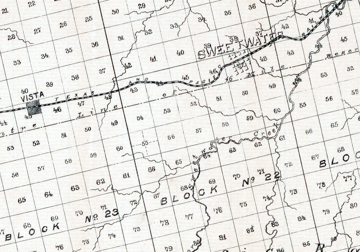 1880 Cadastral Map of Nolan County Texas