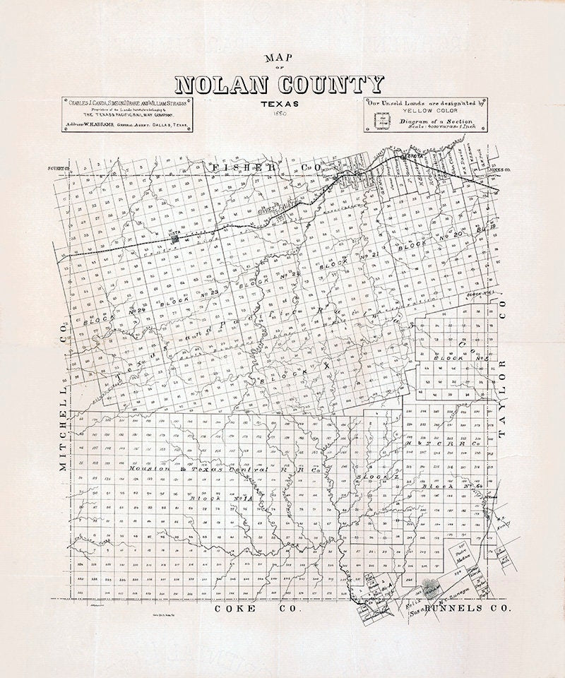 1880 Cadastral Map of Nolan County Texas