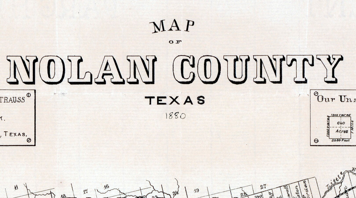 1880 Cadastral Map of Nolan County Texas