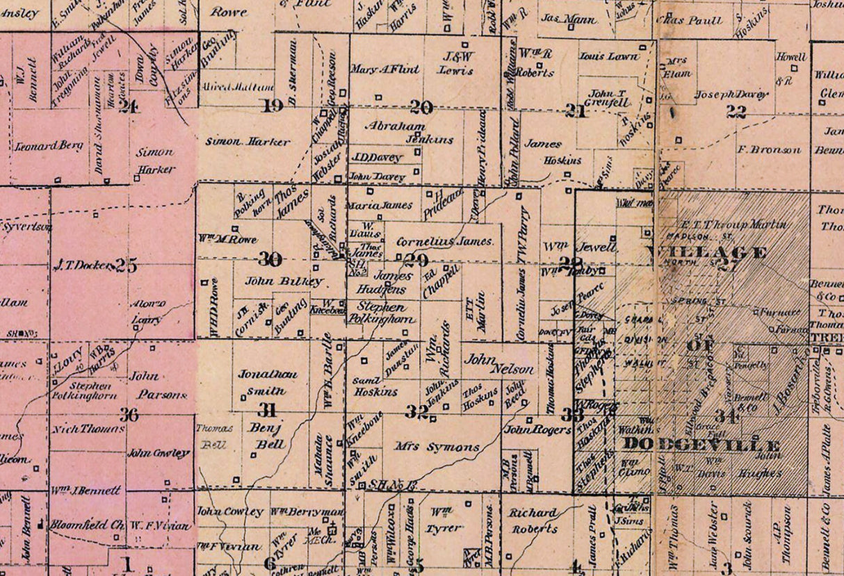 1870 Farm Line Map of Iowa County Wisconsin