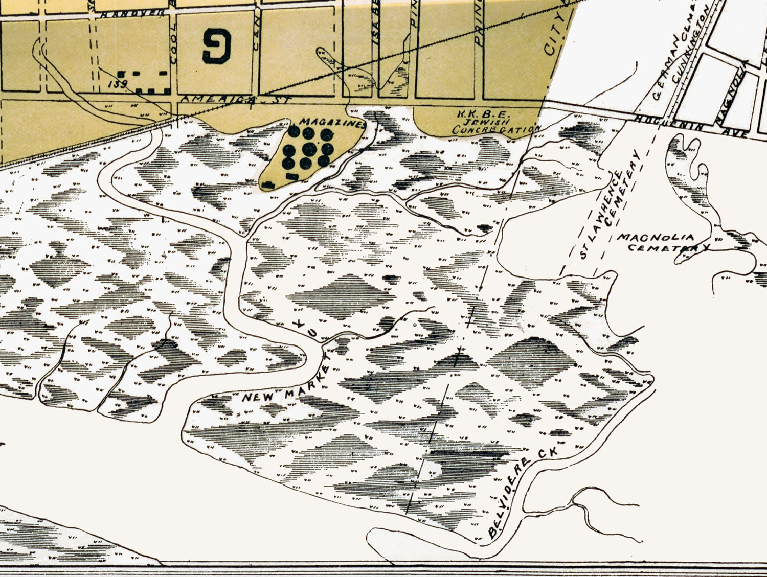1891 Town Map of Charleston South Carolina