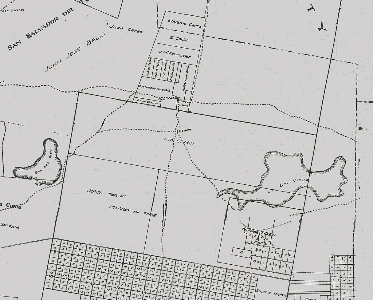 1914 Map of Hidalgo County Texas