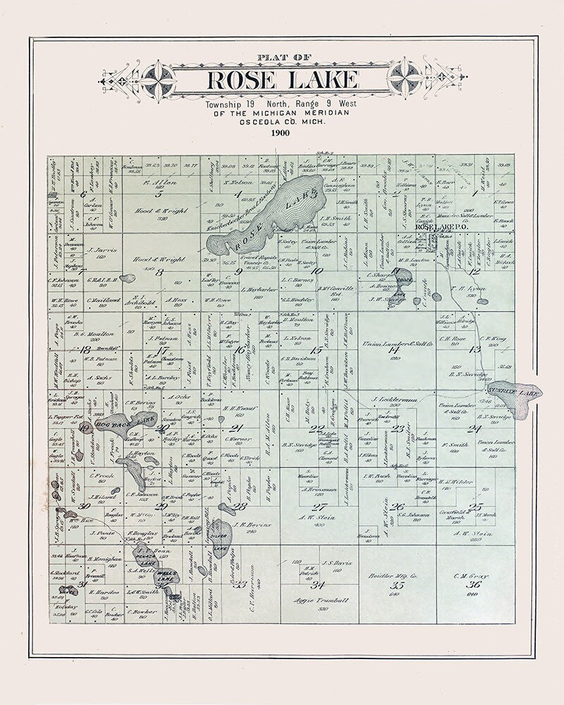 1900 Map of Rose Lake Township Osceola County Michigan