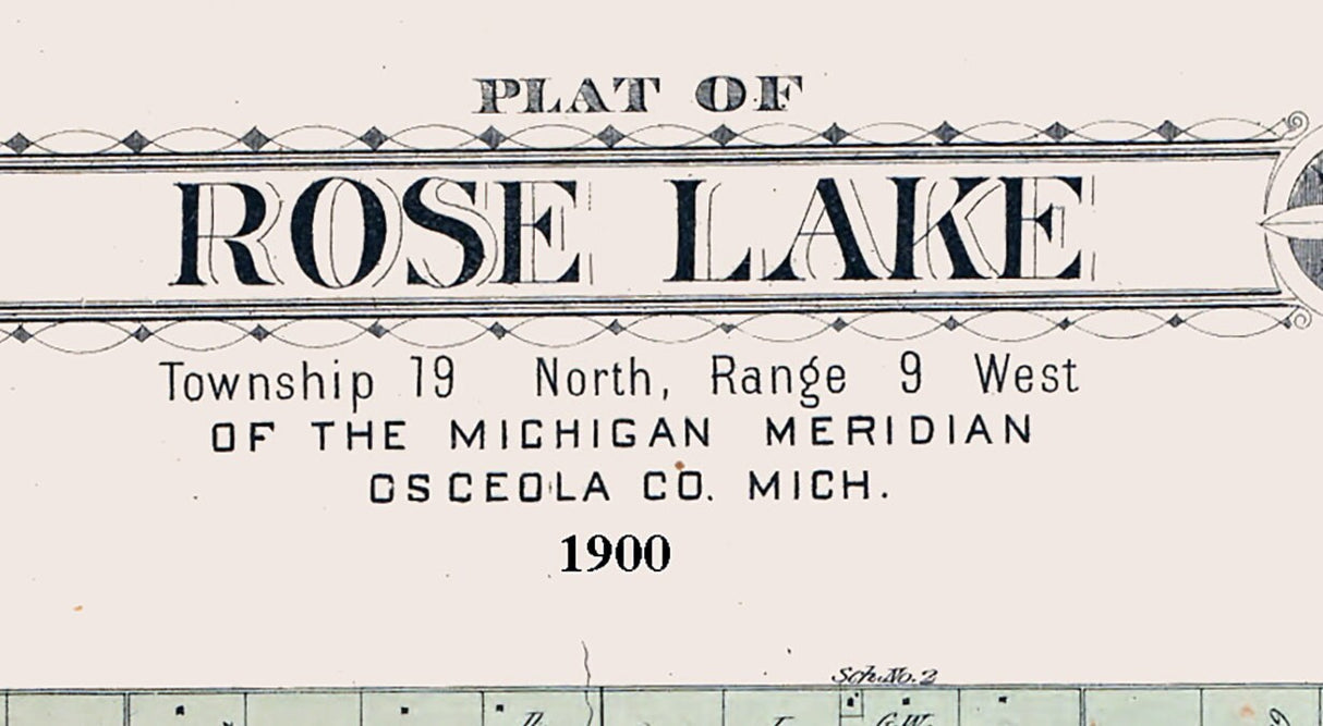 1900 Map of Rose Lake Township Osceola County Michigan