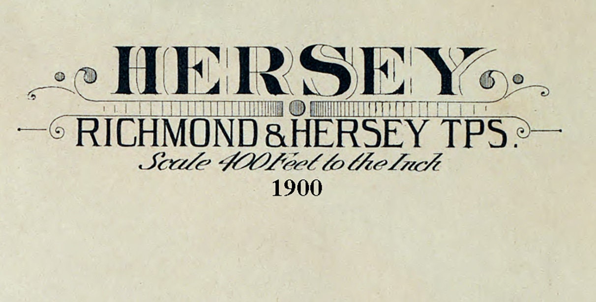 1900 Town Map of Hersey Osceola County Michigan