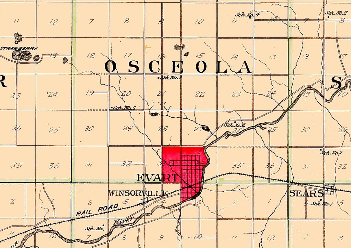 1900 Map of Osceola County Michigan