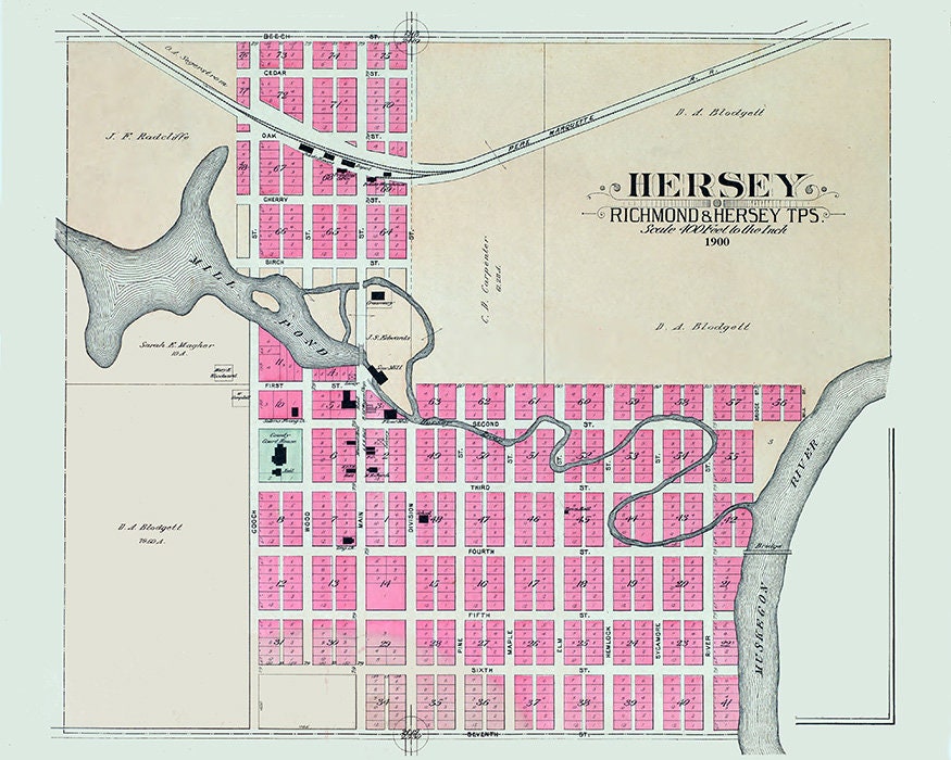 1900 Town Map of Hersey Osceola County Michigan