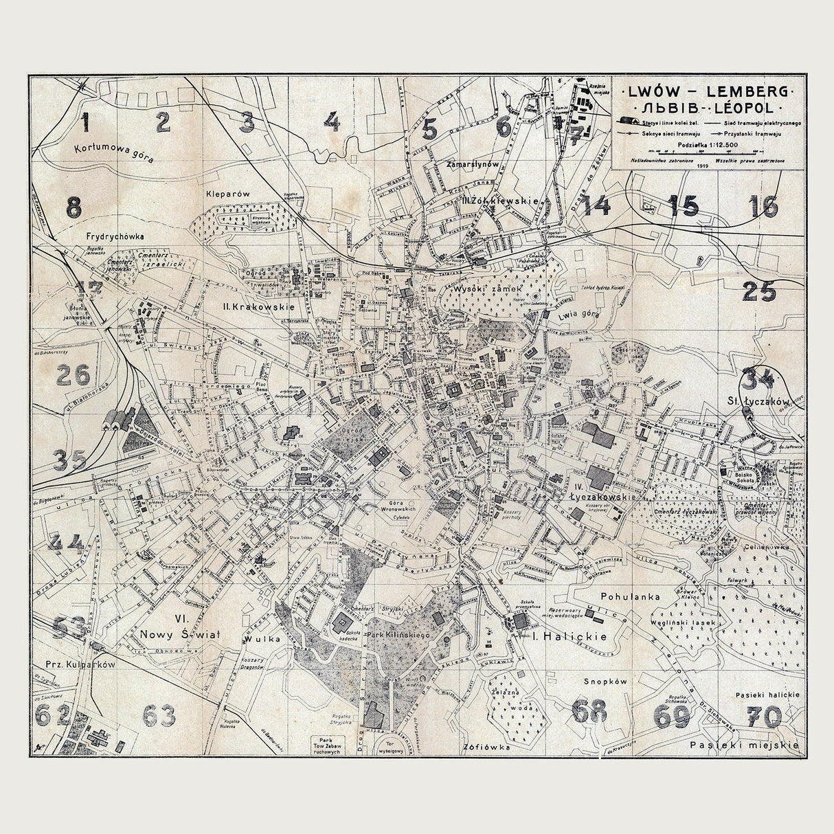 1919 Town Map of Lemberg Ukraine Lwow Galicia