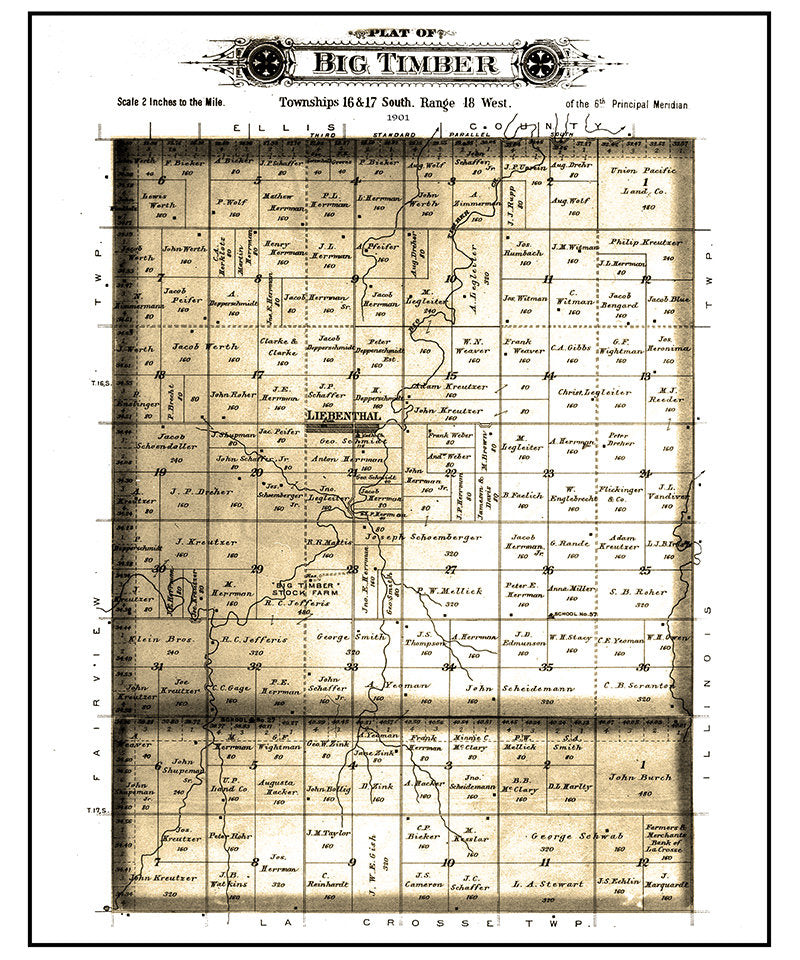 1901 Map of Big Timber Township Rush County Kansas Lienenthal