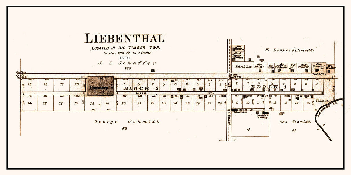 1901 Town Map of Lienenthal Rush County Kansas