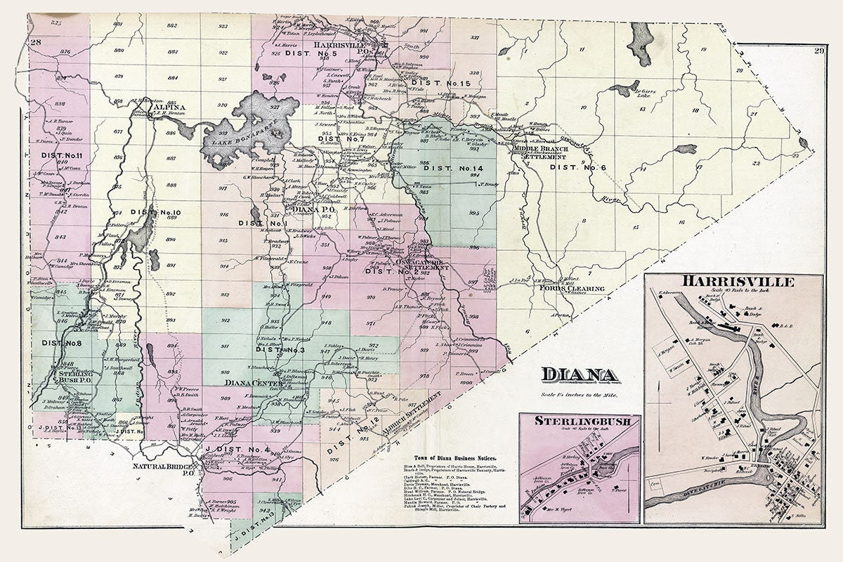 1875 Map of Diana Township Lewis County New York