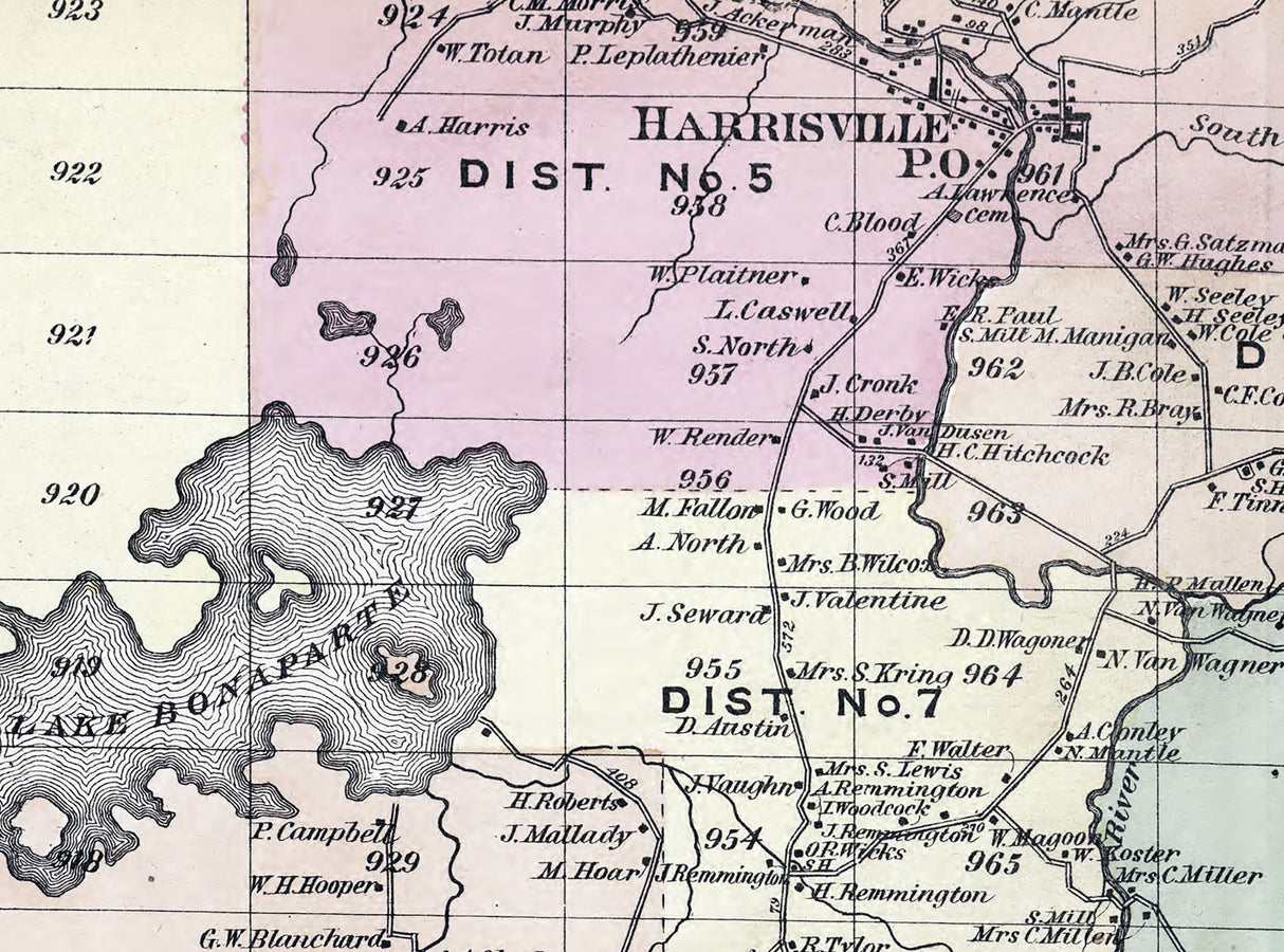 1875 Map of Diana Township Lewis County New York