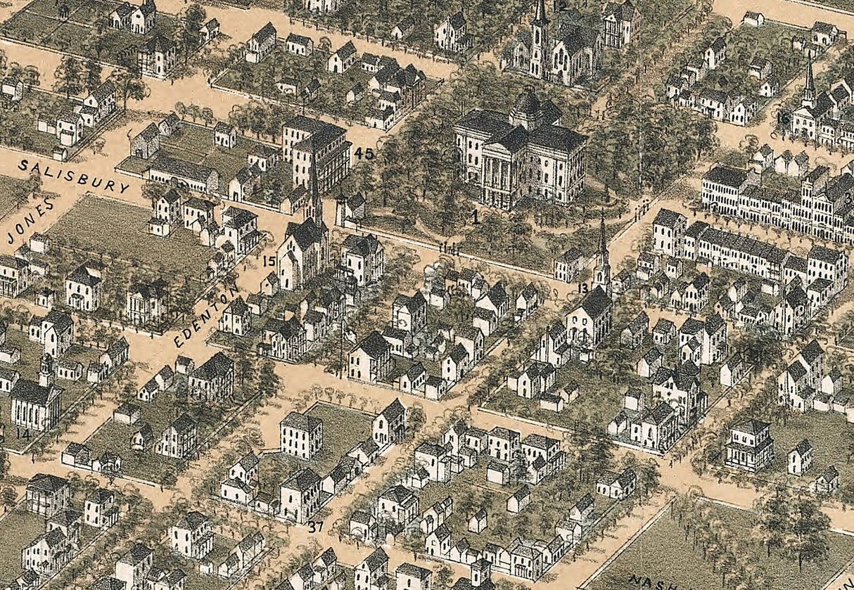 1872 Panoramic Map of Raleigh North Carolina