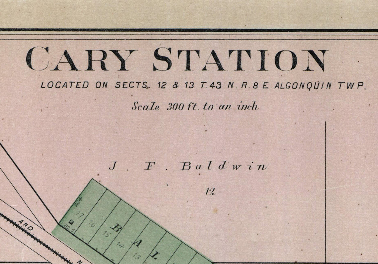 1892 Town Map of Cary Station McHenry County Illinois