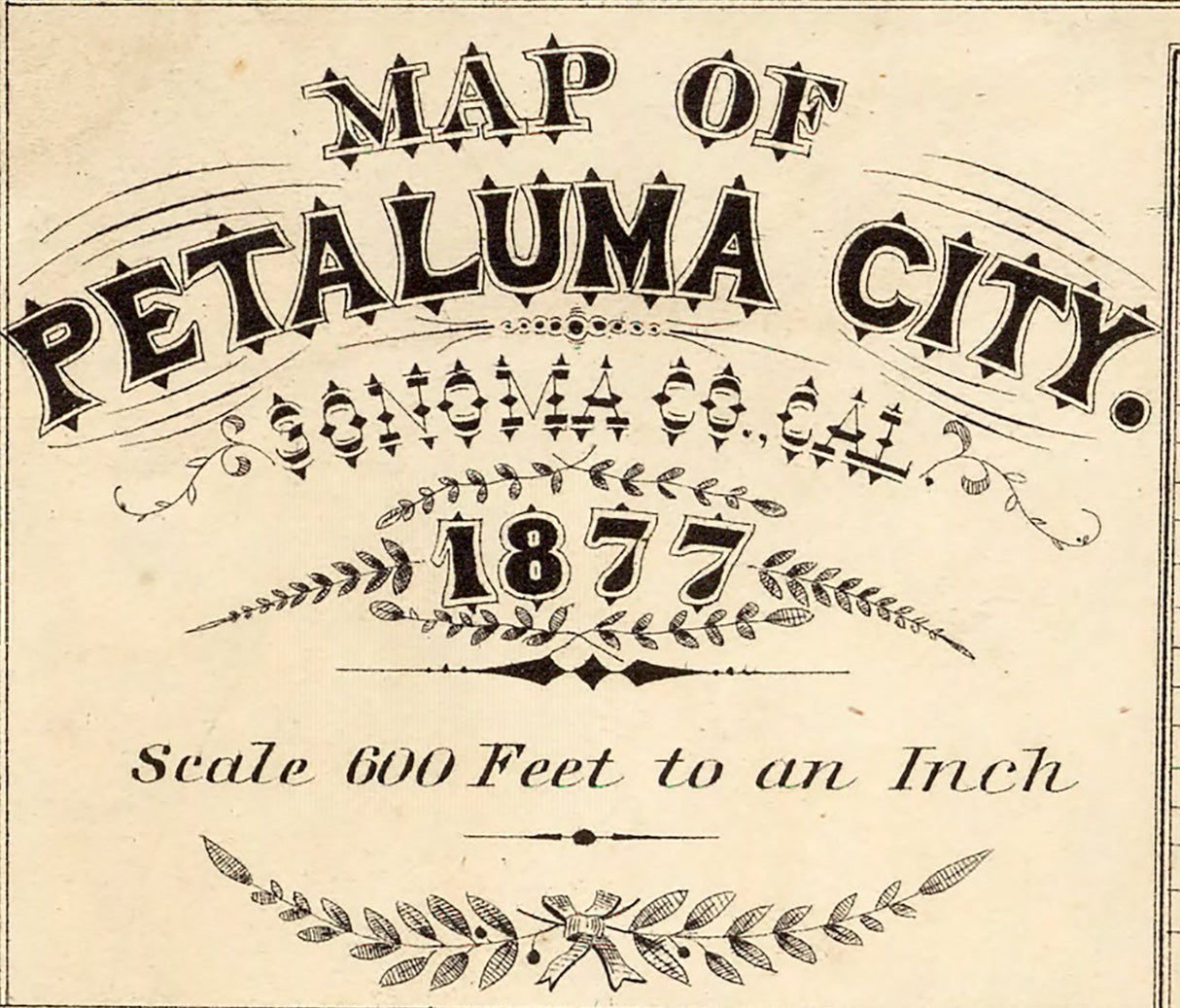 1877 Map of Petaluma City Sonoma County California