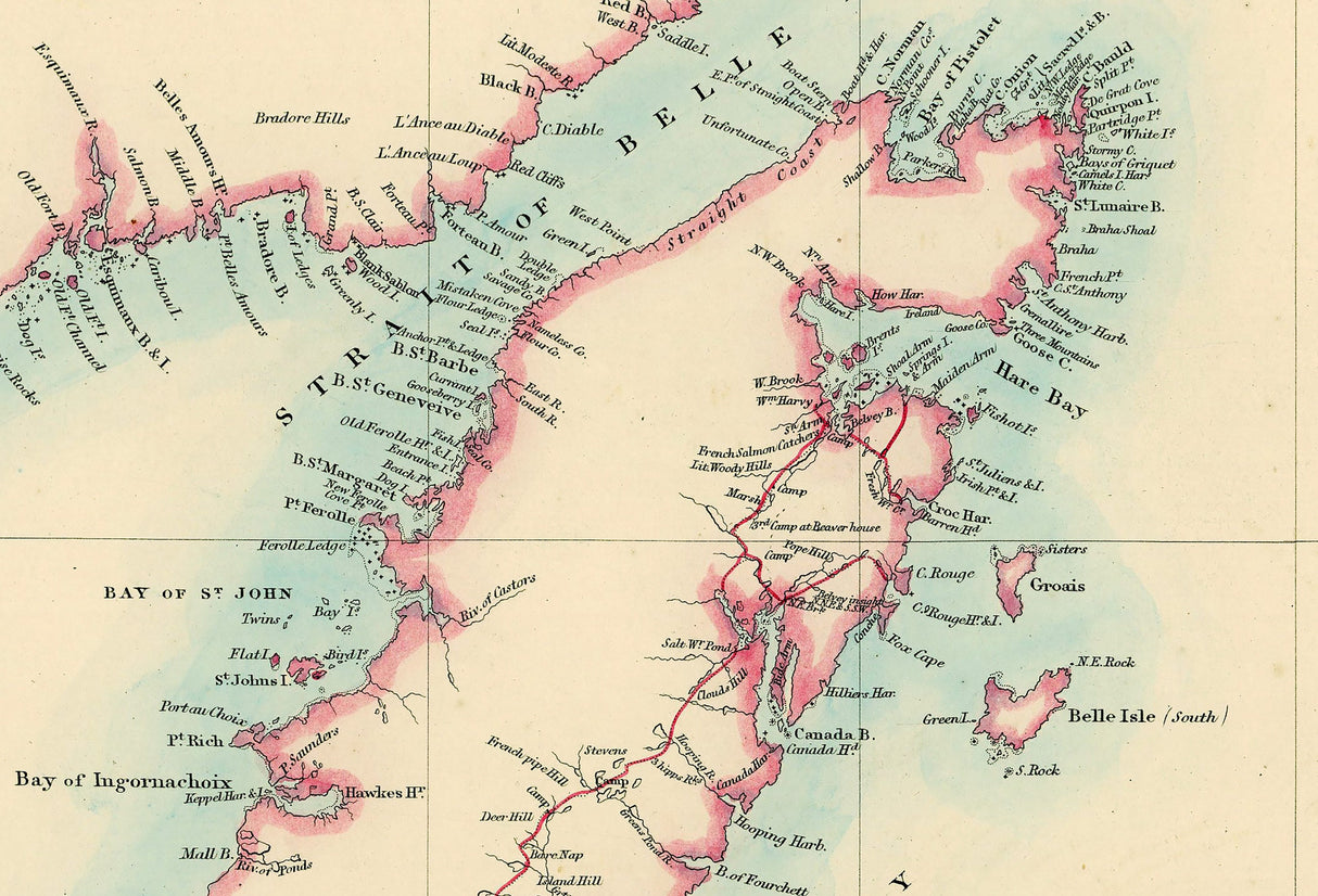 1884 Map of Newfoundland Canada