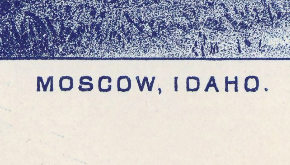 1889 Panoramic Map of Moscow Idaho