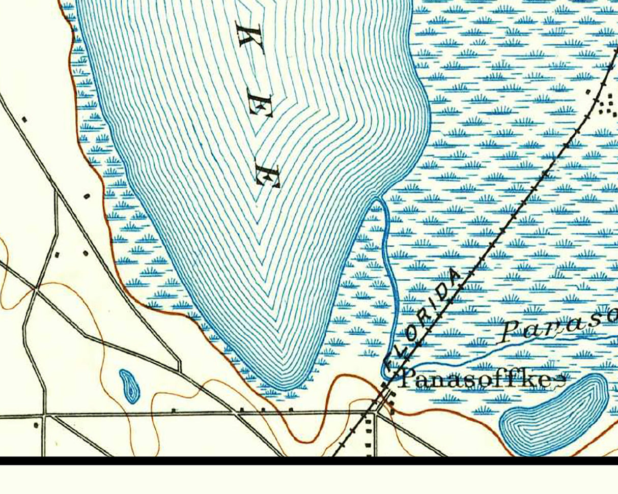 1893 Map of Lake Panasoffkee Florida