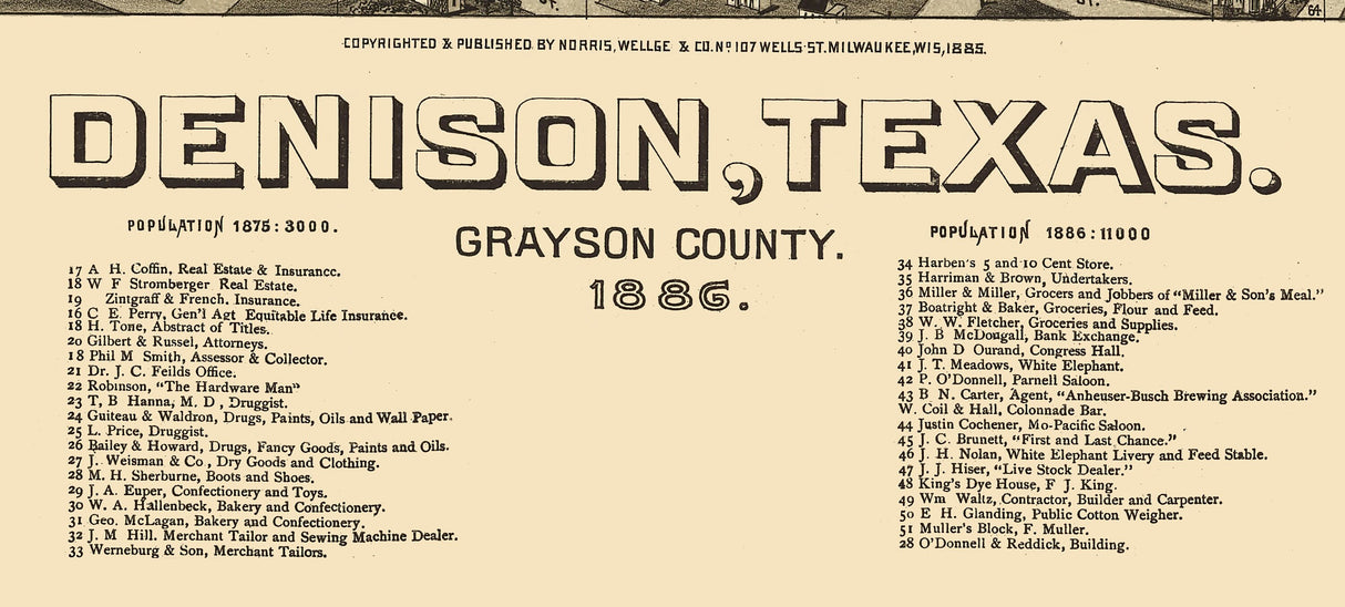 1886 Panoramic Map of Denison Grayson County Texas