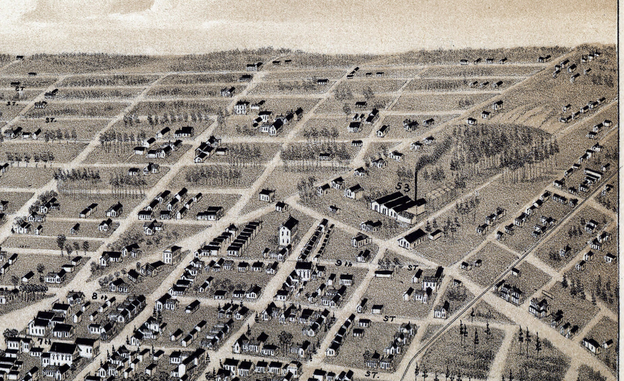 1888 Panoramic Map of Texarkana Texas and Arkansas