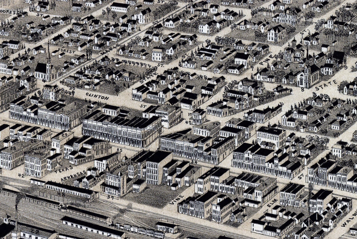 1888 Panoramic Map of Texarkana Texas and Arkansas