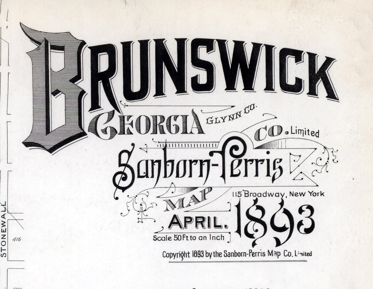 1893 Town Map of Brunswick Glynn County Georgia