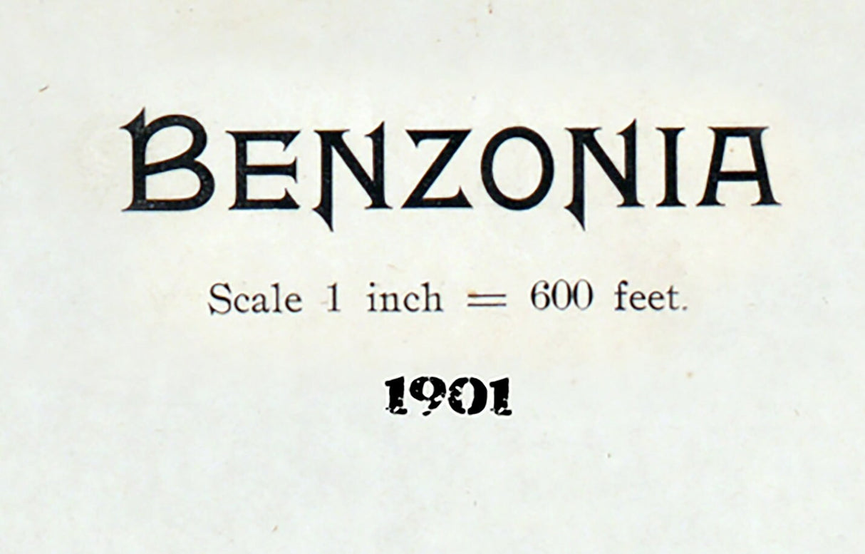 1901 Map of Benzonia Benzie County Michigan
